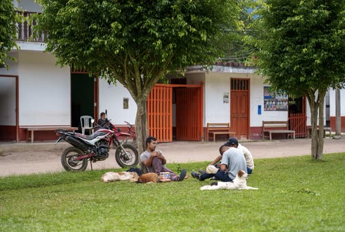 Men resting with their dogs on the grass beside a village schoolhouse