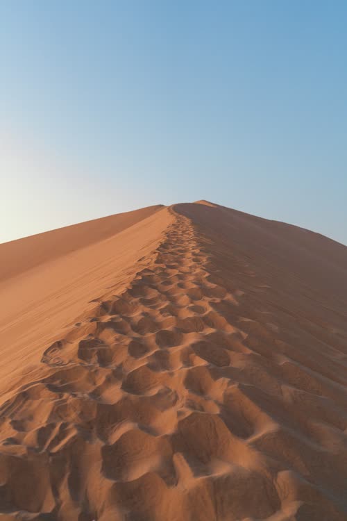 Footprints running up the crest of a steep sand dune against a blue sky