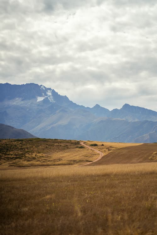 A dirt track crossing high golden grassland below the snow line, Peru