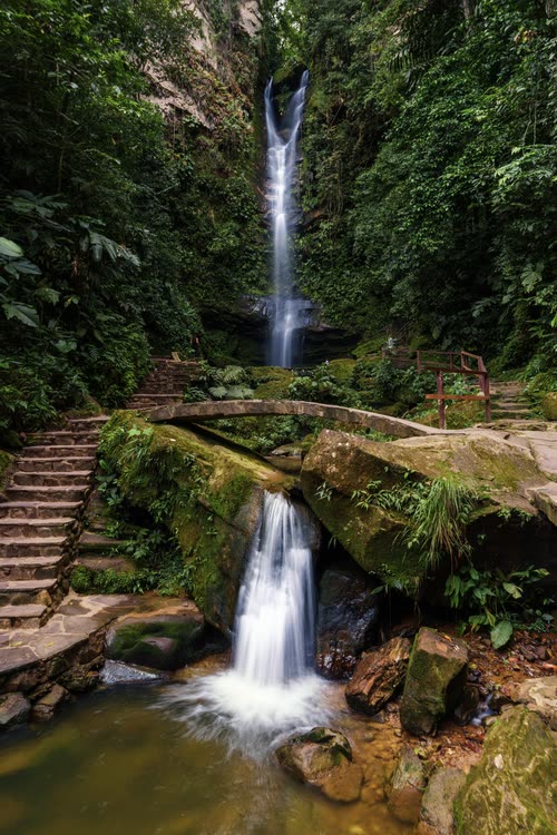 A tall waterfall dropping into a mossy pool beside stone steps in cloud forest