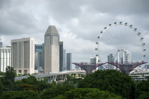 The Singapore Flyer and city towers seen across the Supertree grove