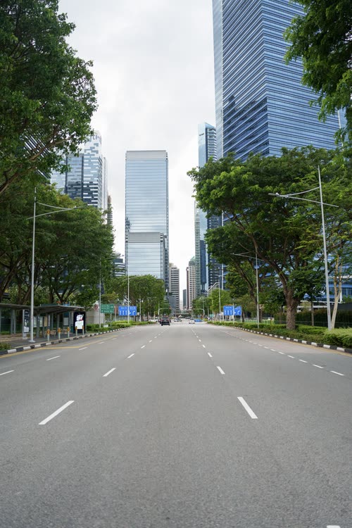 An empty tree-lined avenue running between office towers in the Singapore CBD