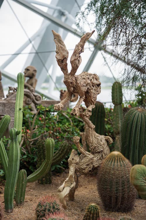 Driftwood sculpture set among cactus planting under the Flower Dome, Singapore
