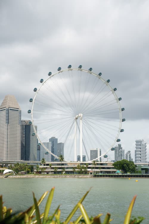 The Singapore Flyer rising above the water and the city skyline