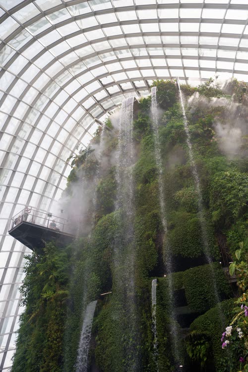 The planted wall and mist of the Cloud Forest dome, Gardens by the Bay, Singapore