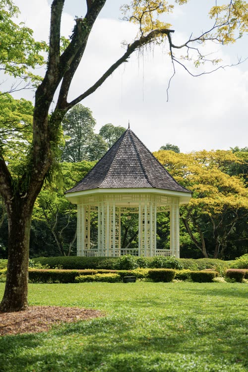 The white timber bandstand on its lawn in the Singapore Botanic Gardens