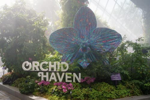 The Orchid Haven sign and giant orchid sculpture in the mist, Singapore