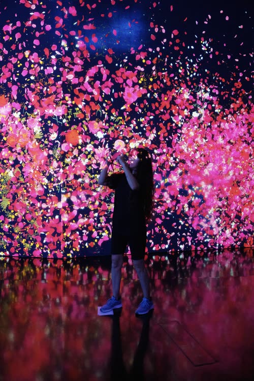 A visitor silhouetted against a wall of projected pink blossom, Singapore