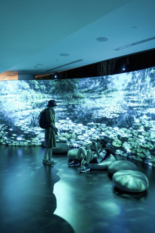 A visitor watching a large immersive projection of a lily pond, Singapore