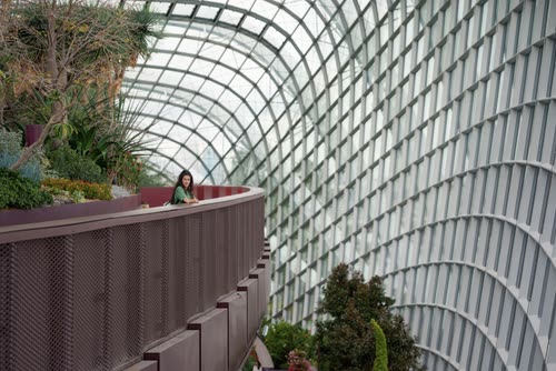 The curved glass shell and planted terraces inside the Flower Dome, Singapore