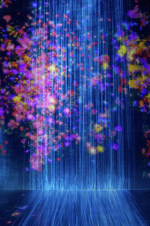 A digital art installation of falling light and blossom in blue and pink, Singapore