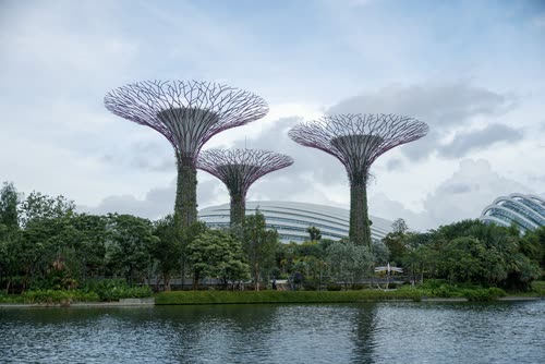 The Supertrees and conservatory domes seen across the water at Gardens by the Bay, Singapore