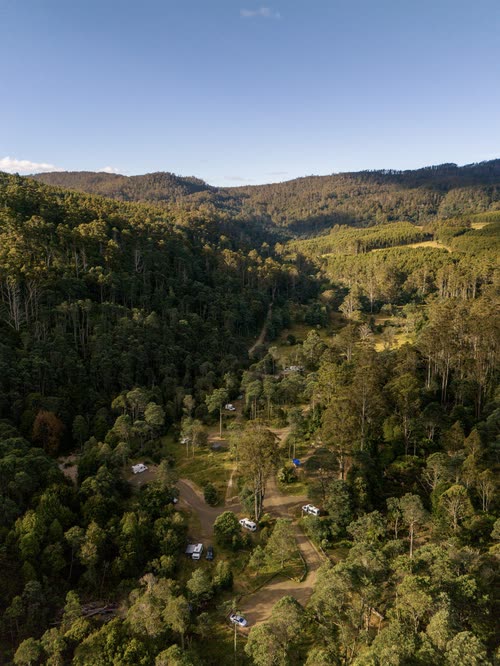 Aerial view of a campground set in tall eucalypt forest, Tasmania