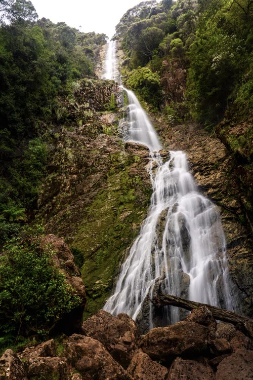 A tall waterfall dropping through a fern-lined gorge, Tasmania