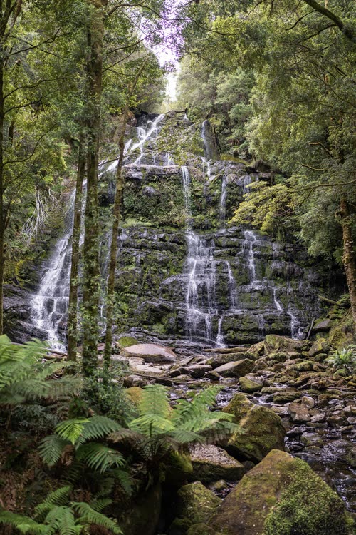 Water fanning down a tiered rock face among tree ferns, Tasmania