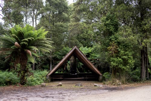 An A-frame shelter among tree ferns at a Tasmanian campground