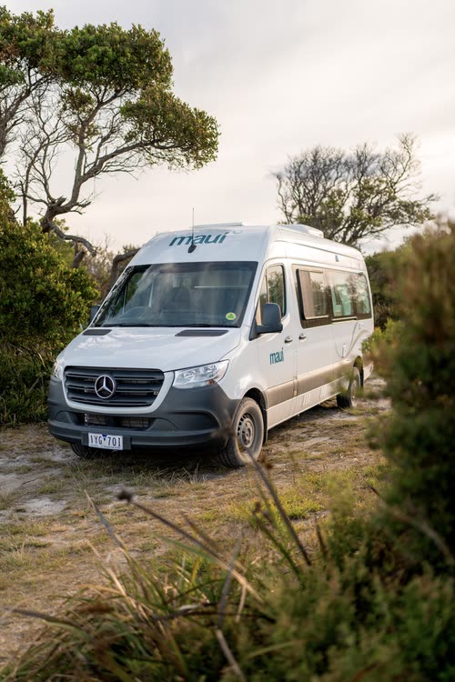 A campervan parked among coastal scrub in Tasmania