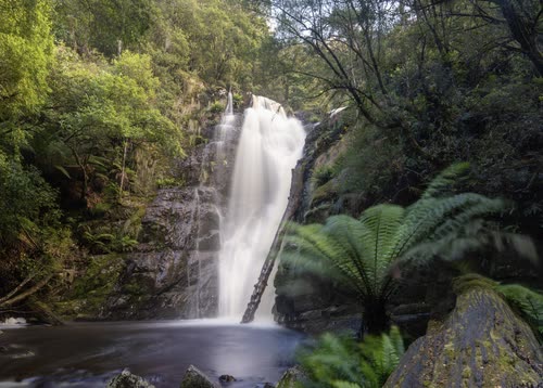 A waterfall dropping into a fern gully in Tasmania