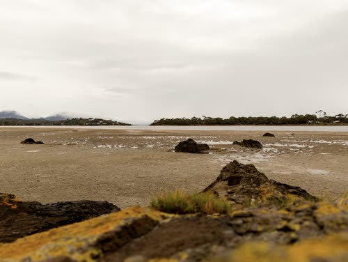 Lichen-covered rocks on a wide tidal flat under grey cloud, Tasmania