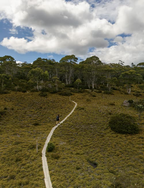 Aerial view of a walker on a boardwalk across buttongrass plains, Tasmania