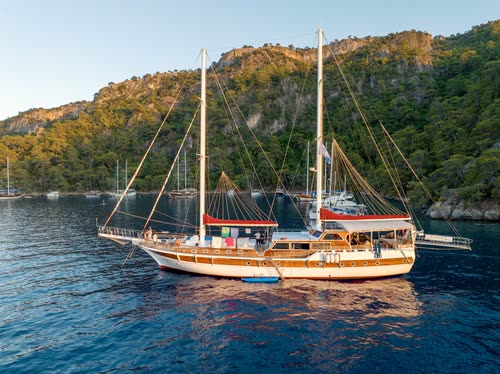 A wooden gulet anchored in a pine-fringed cove on the Turkish coast