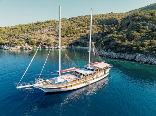 A two-masted gulet moored against a pine-covered shore, Turkey