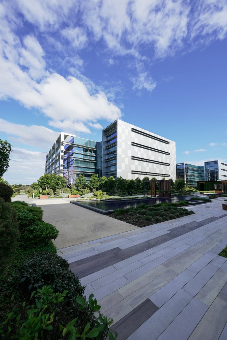 A commercial office building and its landscaped forecourt under open sky
