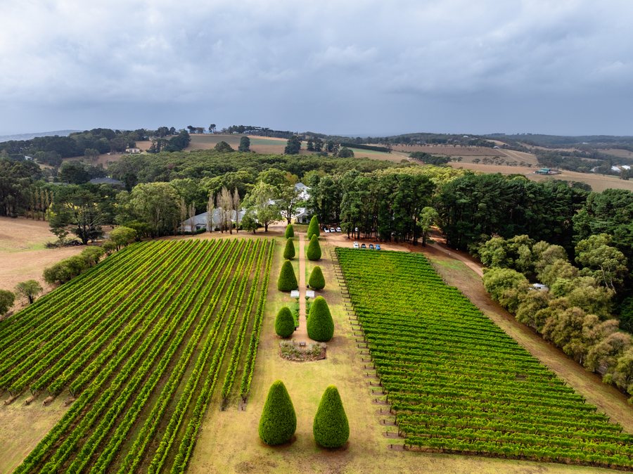 Aerial view of Yarra Valley vineyard rows and a formal garden