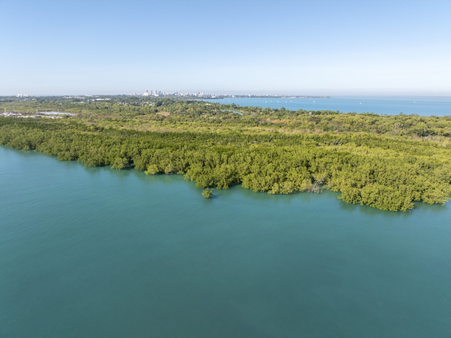 Aerial of a green river mouth meeting the coast