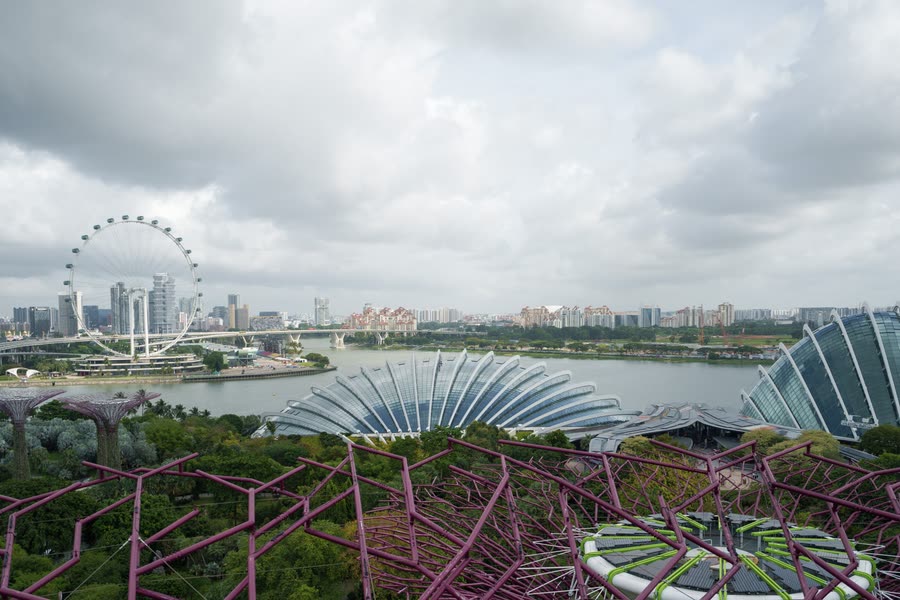 The Supertrees, conservatory domes and Singapore Flyer from above